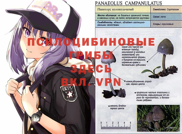 первитин Алзамай