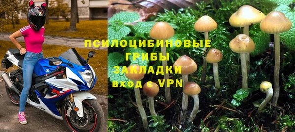 mdpv Алексин